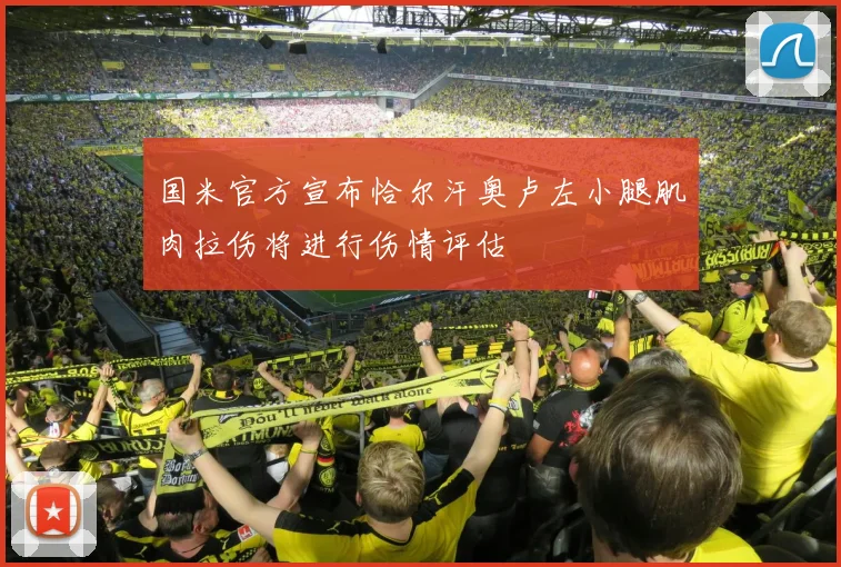 国米官方宣布恰尔汗奥卢左小腿肌肉拉伤将进行伤情评估