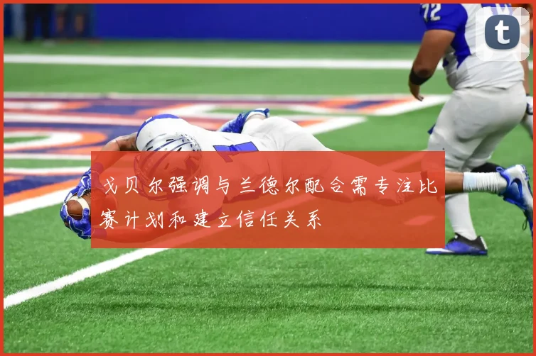 戈贝尔强调与兰德尔配合需专注比赛计划和建立信任关系